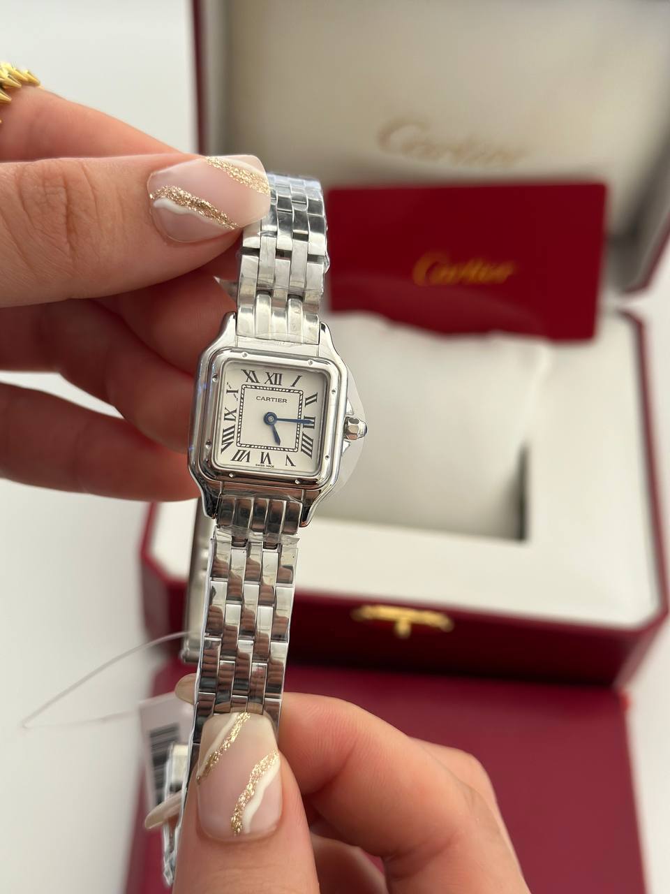 Cartier Panthère Argenté